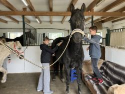 25-10-06 14-21-16 7386